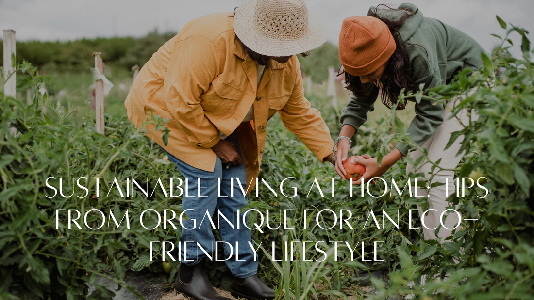 Sustainable Living at Home: Tips from Organique for an Eco-Friendly Lifestyle