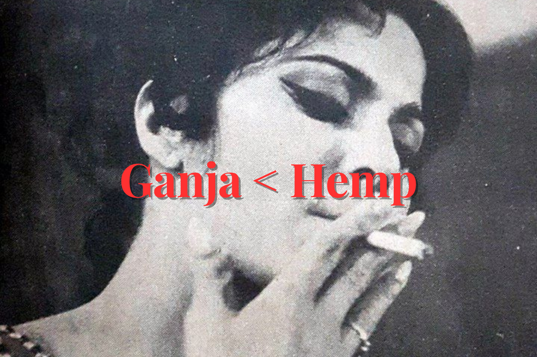Wear Your Ganja, Don’t Smoke It: India’s Shift from Stigma to Sustainability