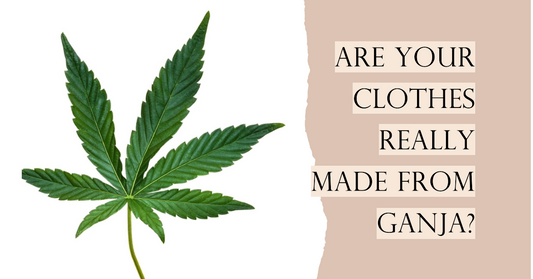 Are your clothes really made from ganja?