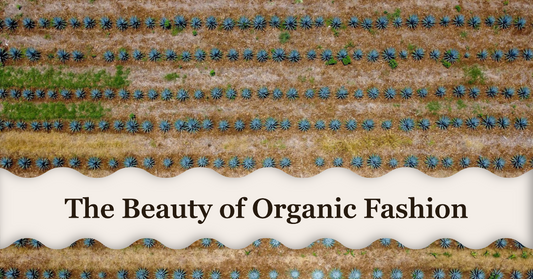 What is even the point of organic clothing?
