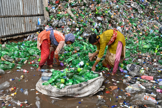Plastic Pollution: From Endless Waste to Environmental Crisis
