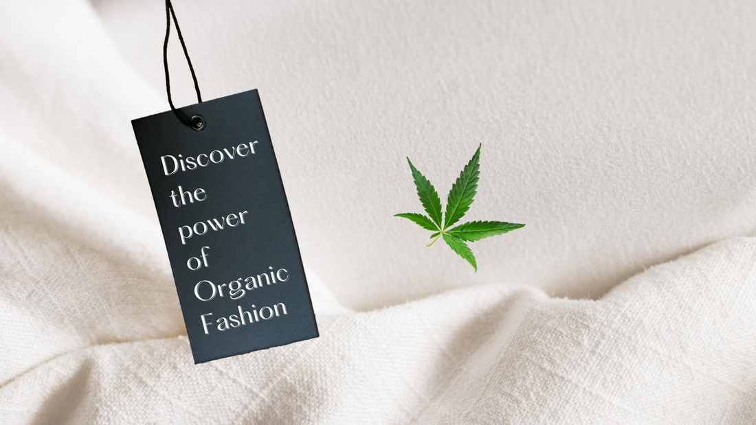 Discover the power of Organic Fashion