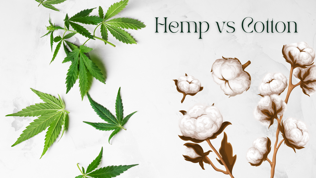 Hemp vs Cotton